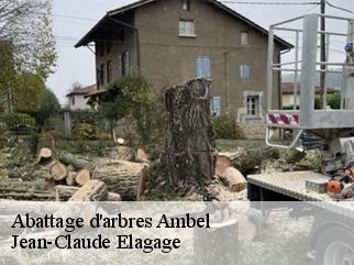 Abattage d'arbres  ambel-38970 Jean-Claude Elagage