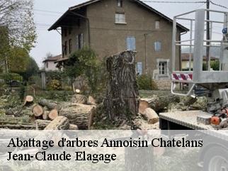 Abattage d'arbres  annoisin-chatelans-38460 Jean-Claude Elagage