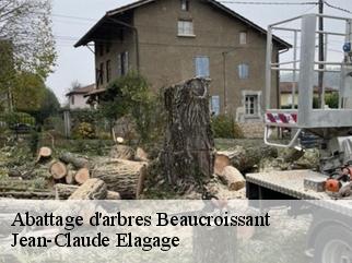 Abattage d'arbres  beaucroissant-38140 Jean-Claude Elagage