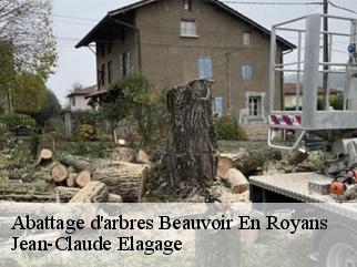 Abattage d'arbres  beauvoir-en-royans-38160 Jean-Claude Elagage