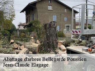 Abattage d'arbres  bellegarde-poussieu-38270 Jean-Claude Elagage