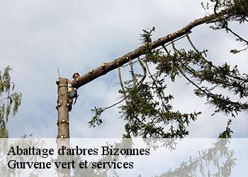Abattage d'arbres  bizonnes-38690 Gurvene vert et services