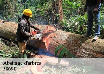 Abattage d'arbres  38690