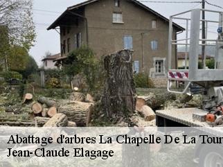 Abattage d'arbres la-chapelle-de-la-tour-38110 Jean-Claude Elagage
