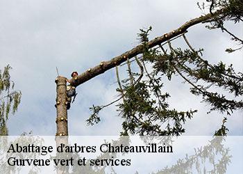 Abattage d'arbres chateauvillain-38300 Gurvene vert et services