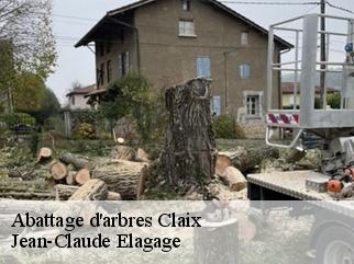 Abattage d'arbres claix-38640 Jean-Claude Elagage
