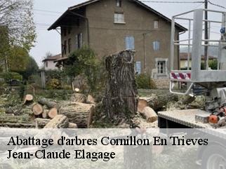 Abattage d'arbres cornillon-en-trieves-38710 Jean-Claude Elagage