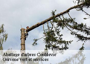 Abattage d'arbres coublevie-38500 Gurvene vert et services