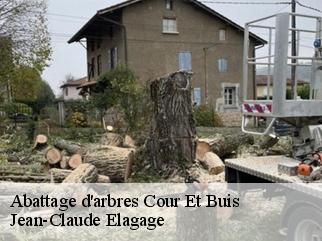 Abattage d'arbres  cour-et-buis-38122 Jean-Claude Elagage