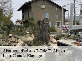 Abattage d'arbres l-isle-d-abeau-38080 Jean-Claude Elagage
