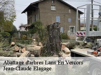 Abattage d'arbres lans-en-vercors-38250 Jean-Claude Elagage
