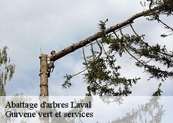 Abattage d'arbres  laval-38190 Gurvene vert et services
