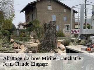 Abattage d'arbres  miribel-lanchatre-38450 Jean-Claude Elagage