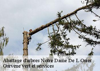 Abattage d'arbres  notre-dame-de-l-osier-38470 Gurvene vert et services