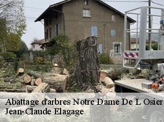 Abattage d'arbres notre-dame-de-l-osier-38470 Jean-Claude Elagage