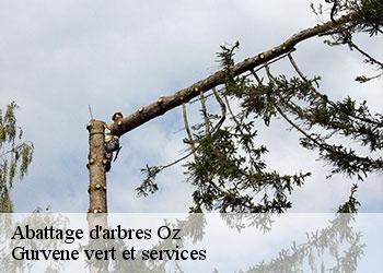 Abattage d'arbres  oz-38114 Gurvene vert et services
