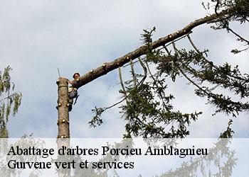 Abattage d'arbres porcieu-amblagnieu-38390 Gurvene vert et services