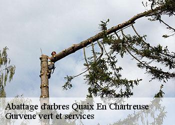 Abattage d'arbres quaix-en-chartreuse-38950 Gurvene vert et services