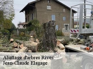 Abattage d'arbres  rives-38140 Jean-Claude Elagage