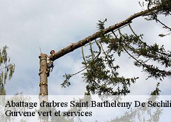 Abattage d'arbres saint-barthelemy-de-sechilie-38220 Gurvene vert et services