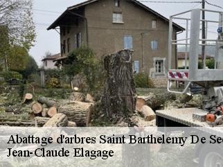 Abattage d'arbres  saint-barthelemy-de-sechilie-38220 Jean-Claude Elagage