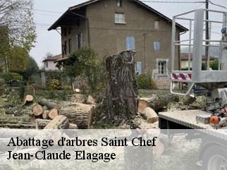 Abattage d'arbres  saint-chef-38890 Jean-Claude Elagage