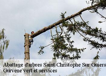Abattage d'arbres saint-christophe-sur-guiers-38380 Gurvene vert et services