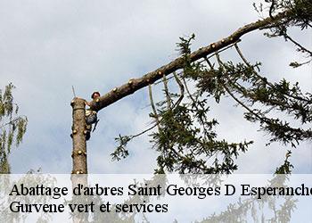 Abattage d'arbres  saint-georges-d-esperanche-38790 Gurvene vert et services