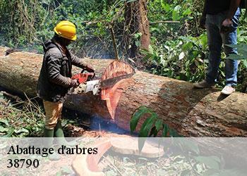 Abattage d'arbres  38790