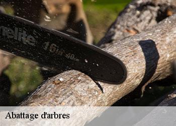 Abattage d'arbres
