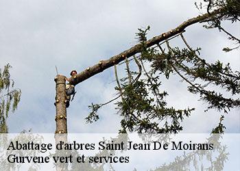 Abattage d'arbres  saint-jean-de-moirans-38430 Gurvene vert et services