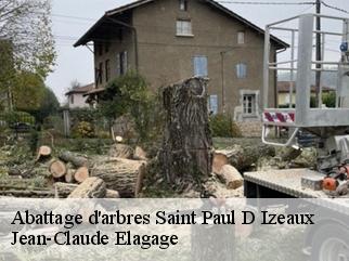 Abattage d'arbres saint-paul-d-izeaux-38140 Jean-Claude Elagage
