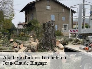 Abattage d'arbres torchefelon-38690 Jean-Claude Elagage