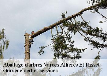 Abattage d'arbres varces-allieres-et-risset-38760 Gurvene vert et services