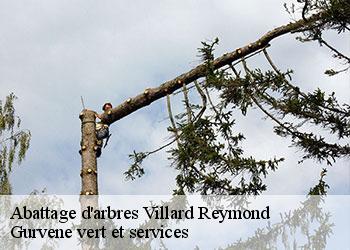 Abattage d'arbres villard-reymond-38520 Gurvene vert et services