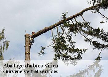 Abattage d'arbres  virieu-38730 Gurvene vert et services
