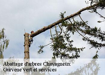 Abattage d'arbres  chavagneux-38230 Gurvene vert et services