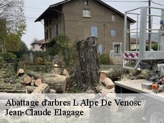 Abattage d'arbres l-alpe-de-venosc-38860 Jean-Claude Elagage