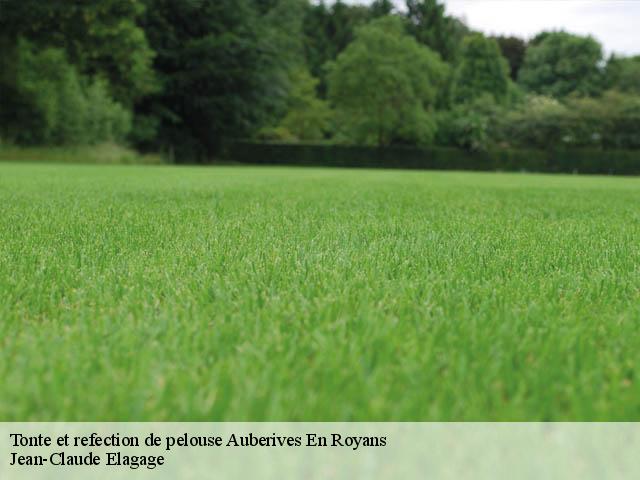 Tonte et refection de pelouse  auberives-en-royans-38680 Jean-Claude Elagage