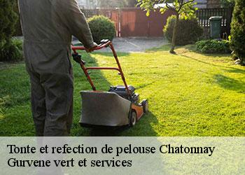 Tonte et refection de pelouse chatonnay-38440 Gurvene vert et services