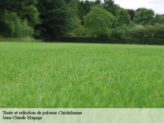 Tonte et refection de pelouse  chichilianne-38930 Jean-Claude Elagage
