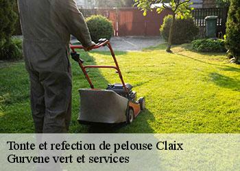 Tonte et refection de pelouse  claix-38640 Gurvene vert et services