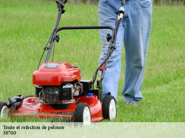 Tonte et refection de pelouse 38700