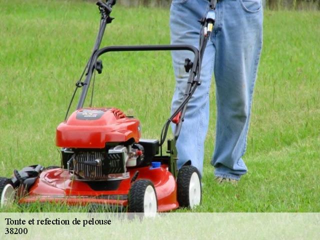 Tonte et refection de pelouse 38200