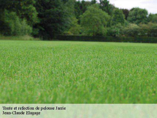 Tonte et refection de pelouse jarrie-38560 Jean-Claude Elagage