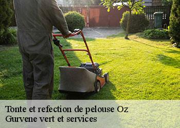 Tonte et refection de pelouse  oz-38114 Gurvene vert et services