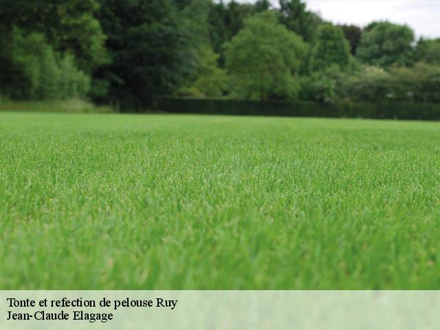 Tonte et refection de pelouse  ruy-38300 Jean-Claude Elagage