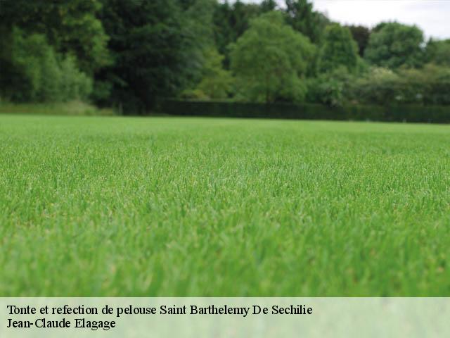 Tonte et refection de pelouse saint-barthelemy-de-sechilie-38220 Jean-Claude Elagage