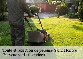 Tonte et refection de pelouse saint-honore-38350 Gurvene vert et services
