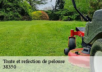 Tonte et refection de pelouse 38350